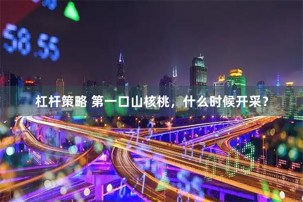 杠杆策略 第一口山核桃，什么时候开采？
