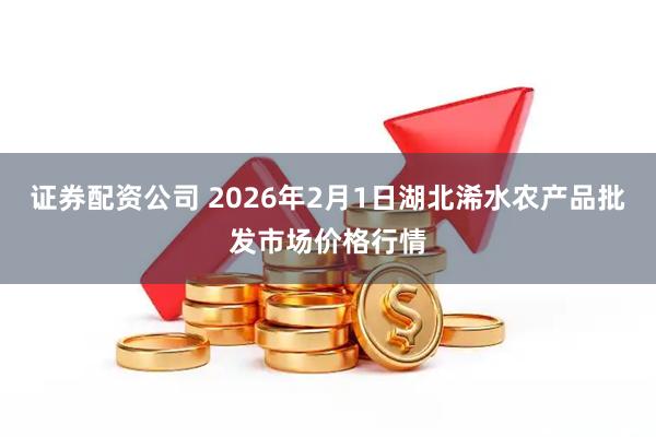 证券配资公司 2026年2月1日湖北浠水农产品批发市场价格行情