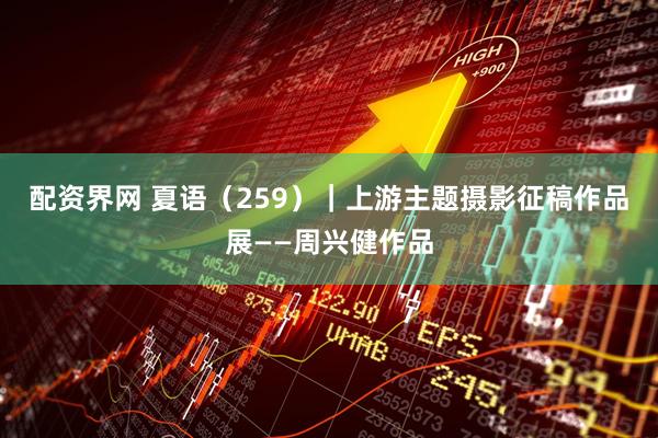 配资界网 夏语（259）｜上游主题摄影征稿作品展——周兴健作品